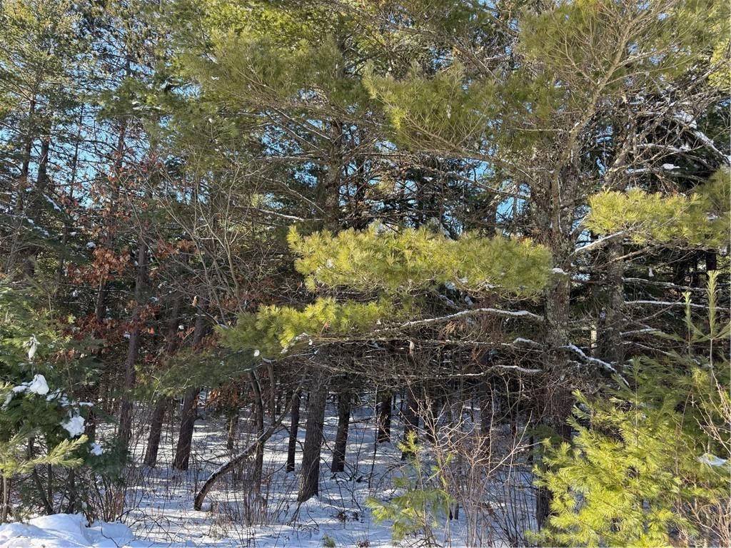 Photo of Lot 4 CSM 2370 Kavanaugh ROAD, Cable, WI 54821 (MLS # 1597806)