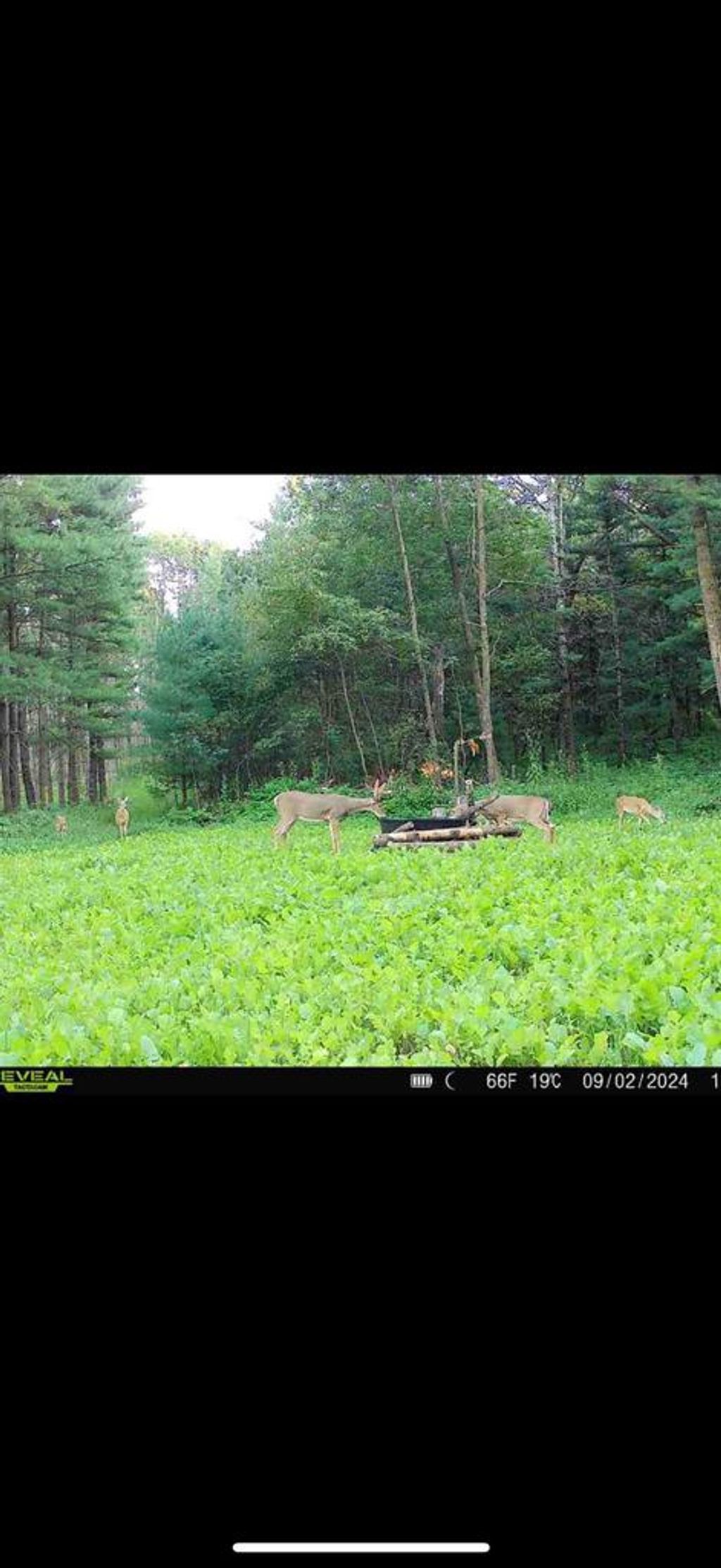 Photo of W5825 County Road Z Rd, Westfield, WI 53964 (MLS # 50319761)