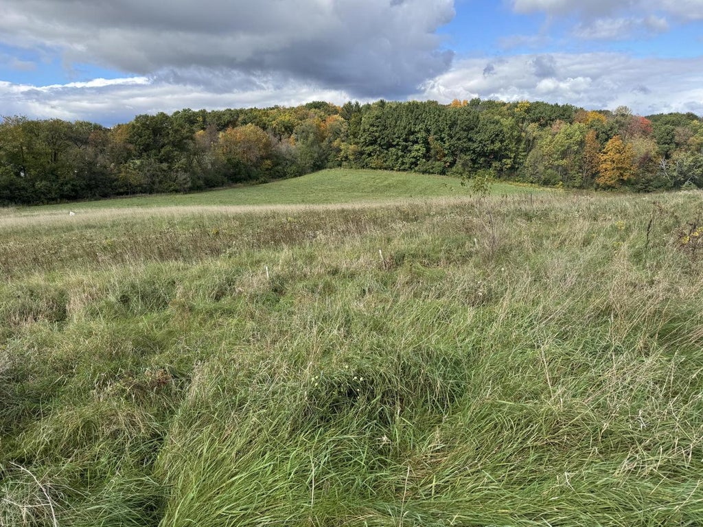 Photo of Lt8 Retreat COURT, Waukesha, WI 53188 (MLS # 1986769)