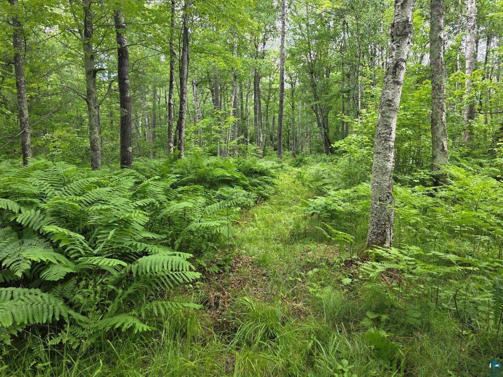 Photo of 1567 North Shore ROAD, La Pointe, WI 54850 (MLS # 6125333)