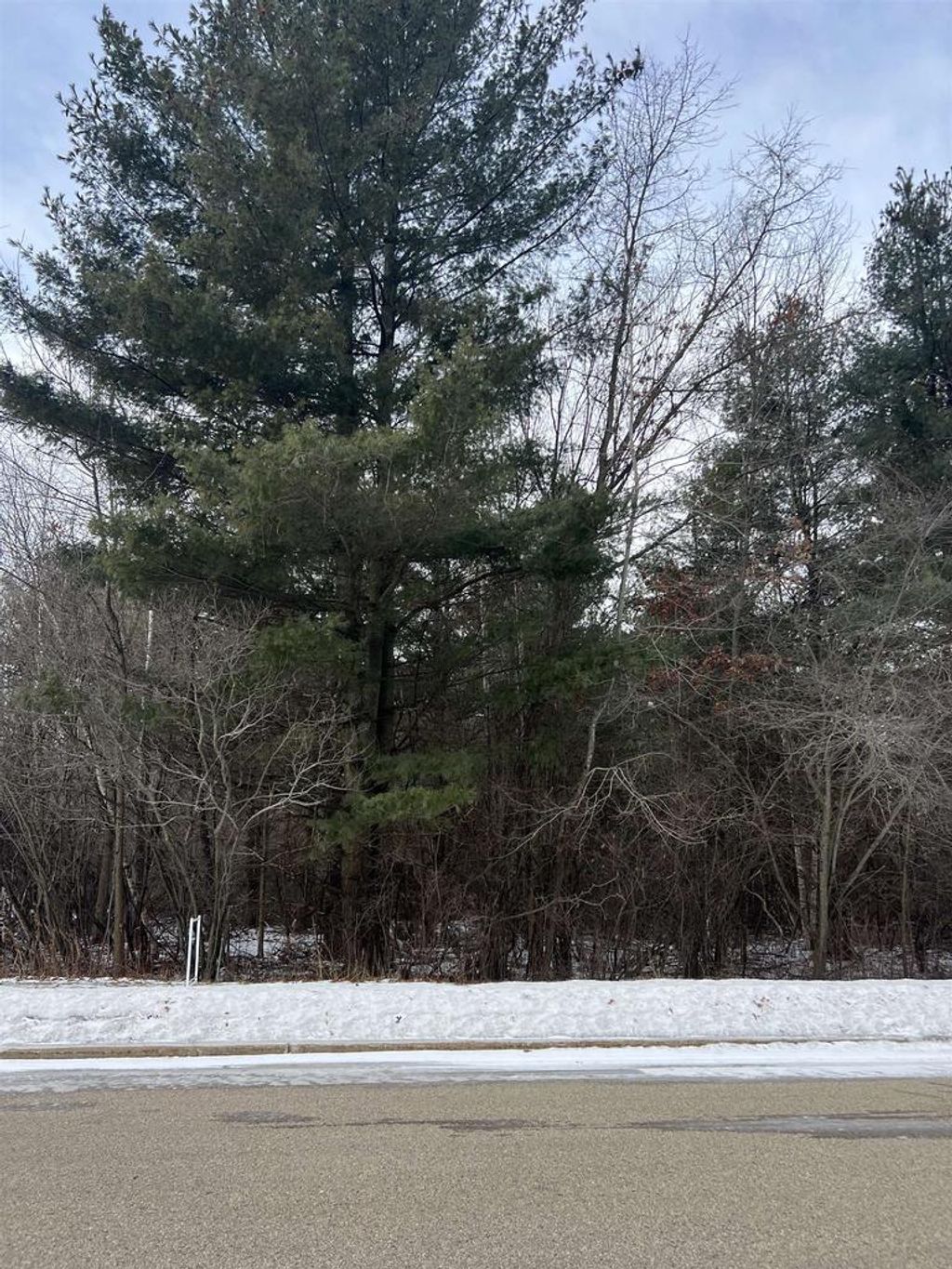 Photo of Bitters AVENUE, Oconto, WI 54153 (MLS # 50321470)