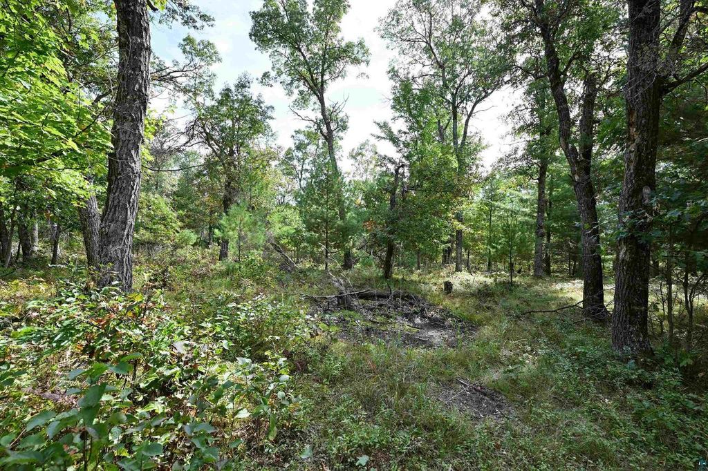 Photo of Lot 3 Dragon DRIVE, Minong, WI 54859 (MLS # 6124506)