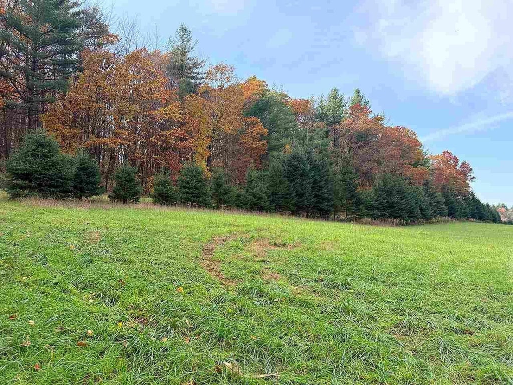 Photo of N9858 W Hill ROAD, Iola, WI 54945 (MLS # 50334982)