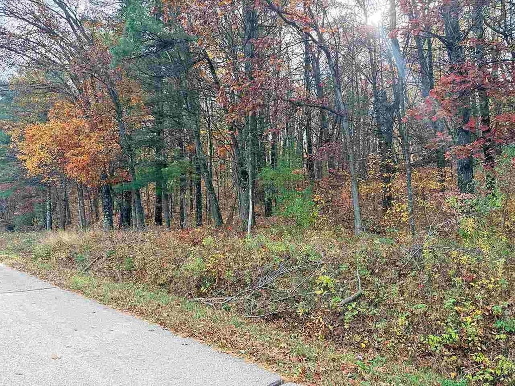 Photo of N9858 W Hill ROAD, Iola, WI 54945 (MLS # 50334982)