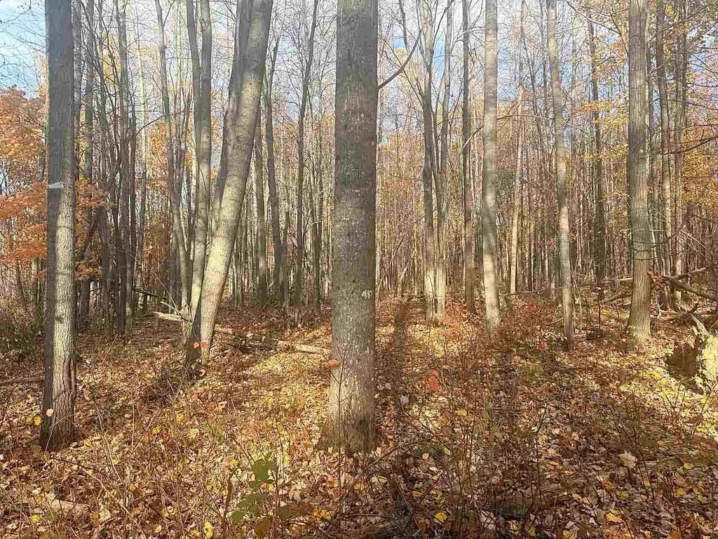 Photo of N9858 W Hill ROAD, Iola, WI 54945 (MLS # 50334982)