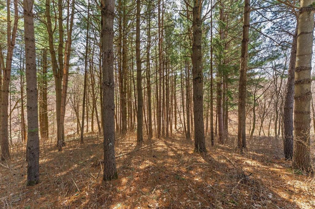 Photo of Lot 63 Staghorn COURT, La Valle, WI 53941 (MLS # 2020537)