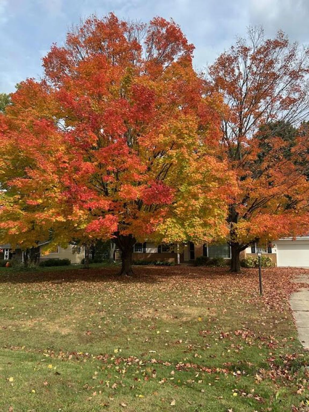 Photo of 6106 S 121st STREET, Hales Corners, WI 53130 (MLS # 1949519)