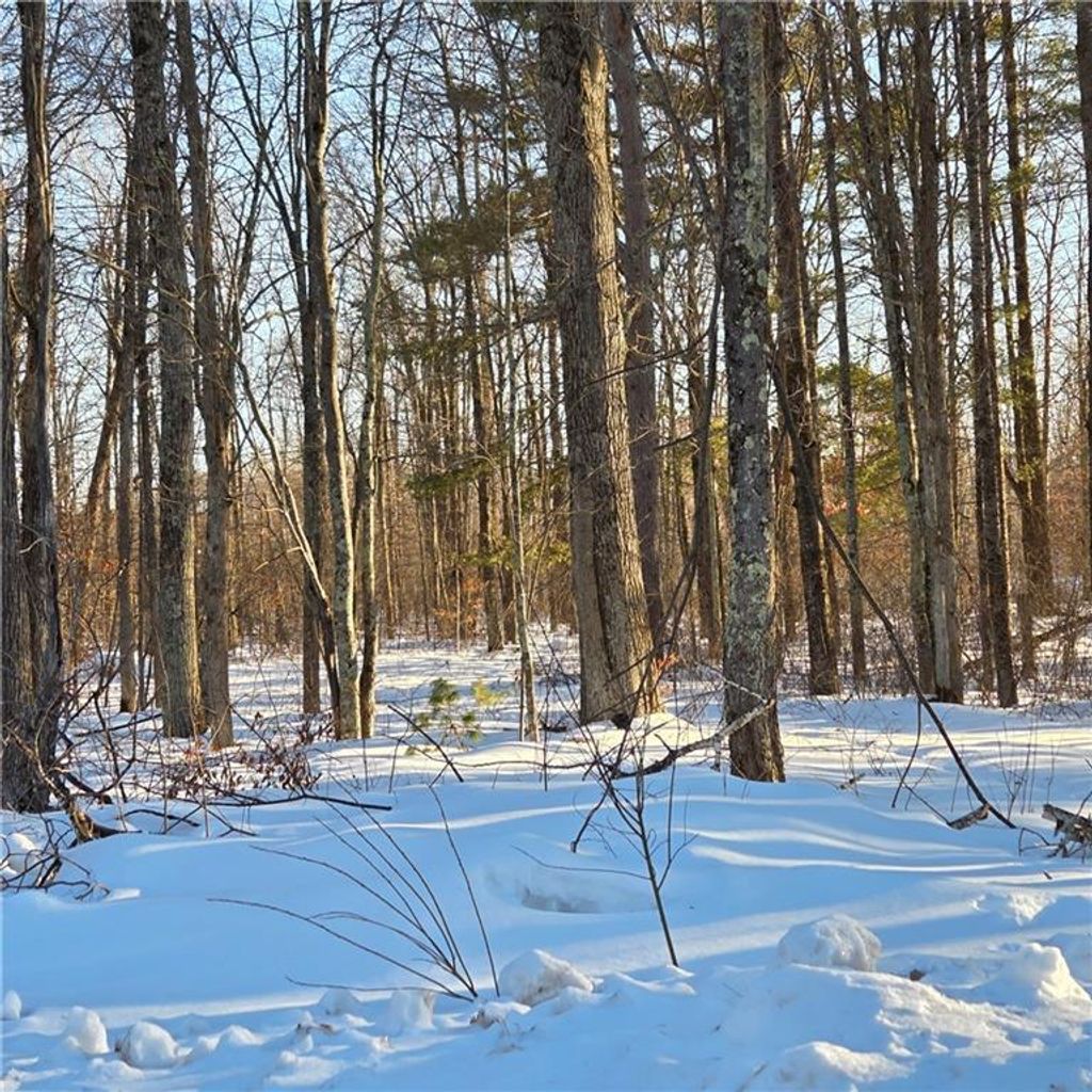 Photo of 8829 Cty E ROAD, Hayward, WI 54843 (MLS # 1598387)