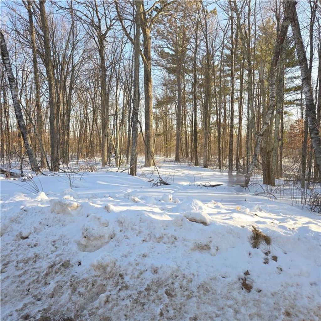 Photo of 8829 Cty E ROAD, Hayward, WI 54843 (MLS # 1598387)