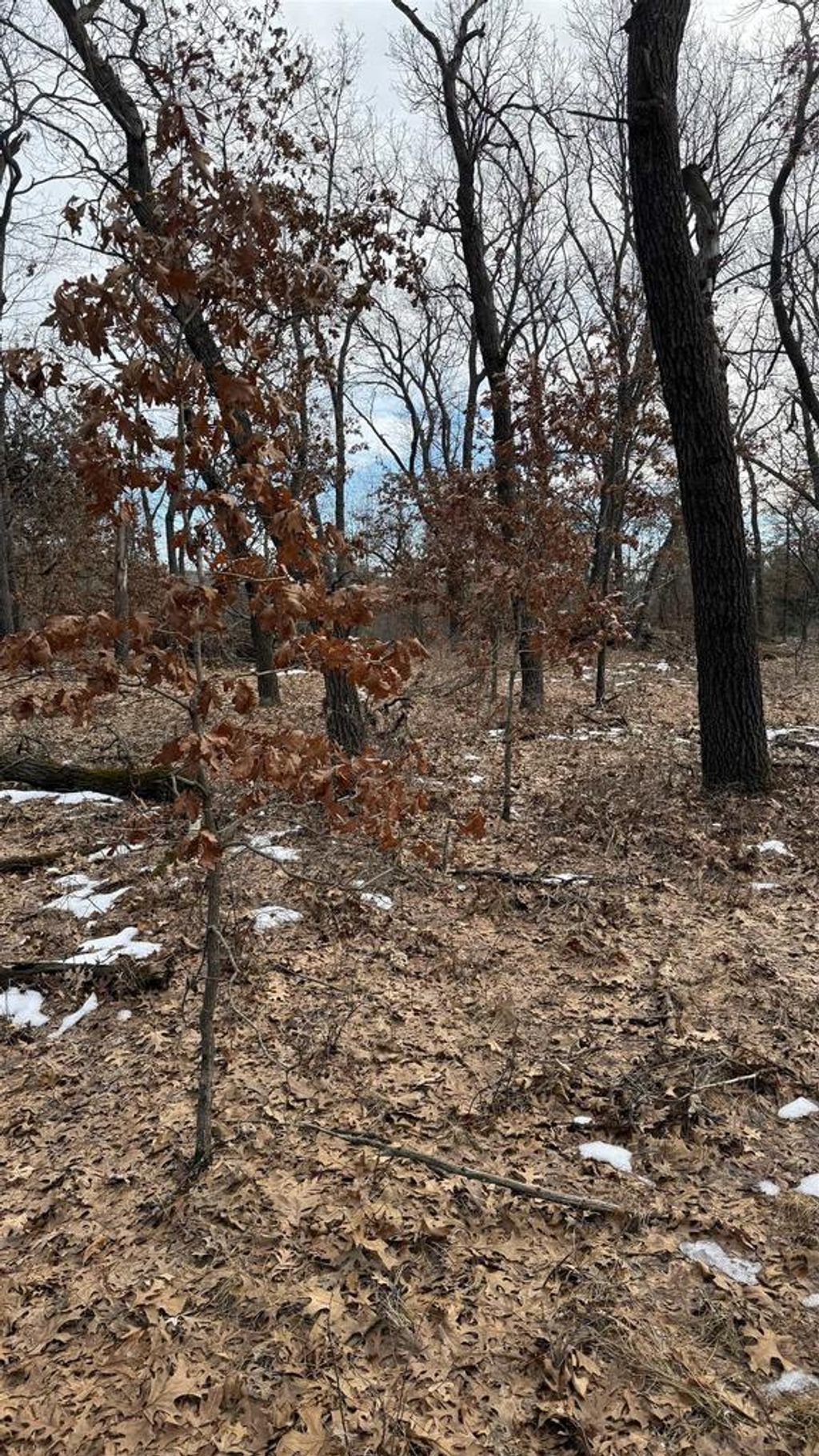 Photo of Horkan Rd ROAD, New Lisbon, WI 53950 (MLS # 2015917)