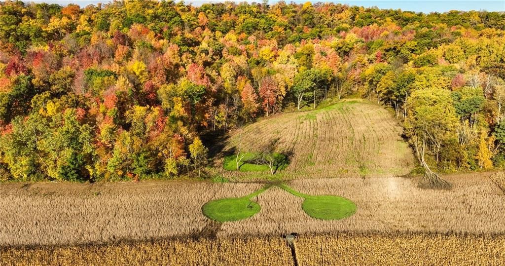 Photo of S849 County Road F, Nelson, WI 54756 (MLS # 1598257)