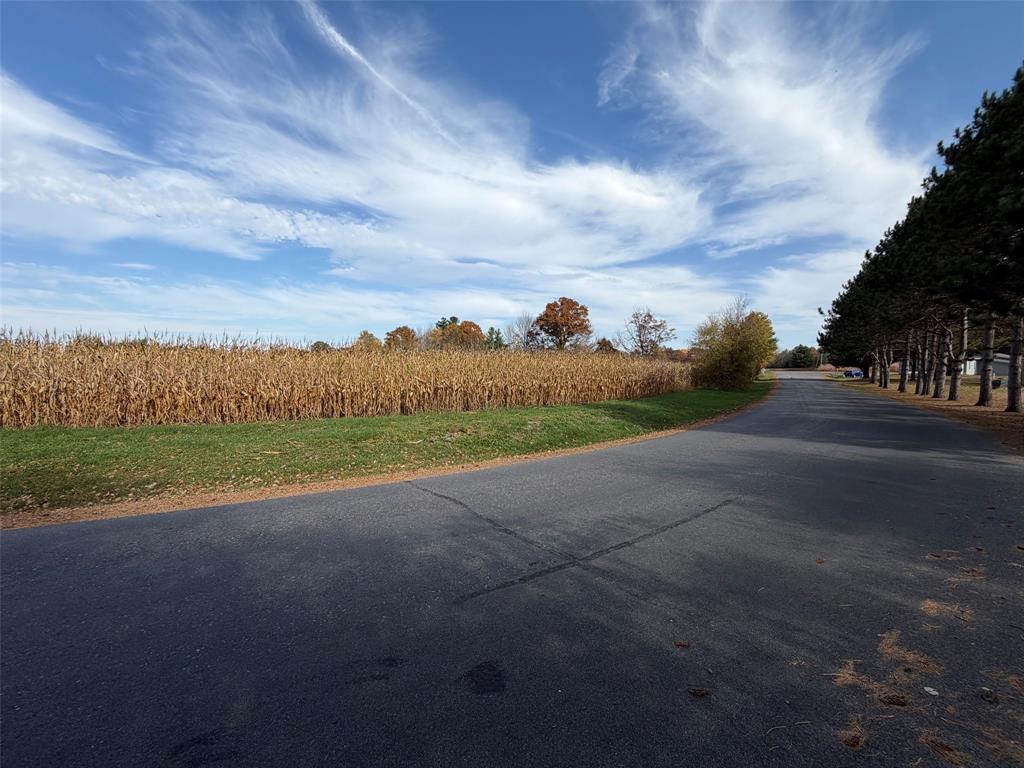 Photo of N1100 Block S. Right of Way Road, Weyerhaeuser, WI 54895 (MLS # 1606072)