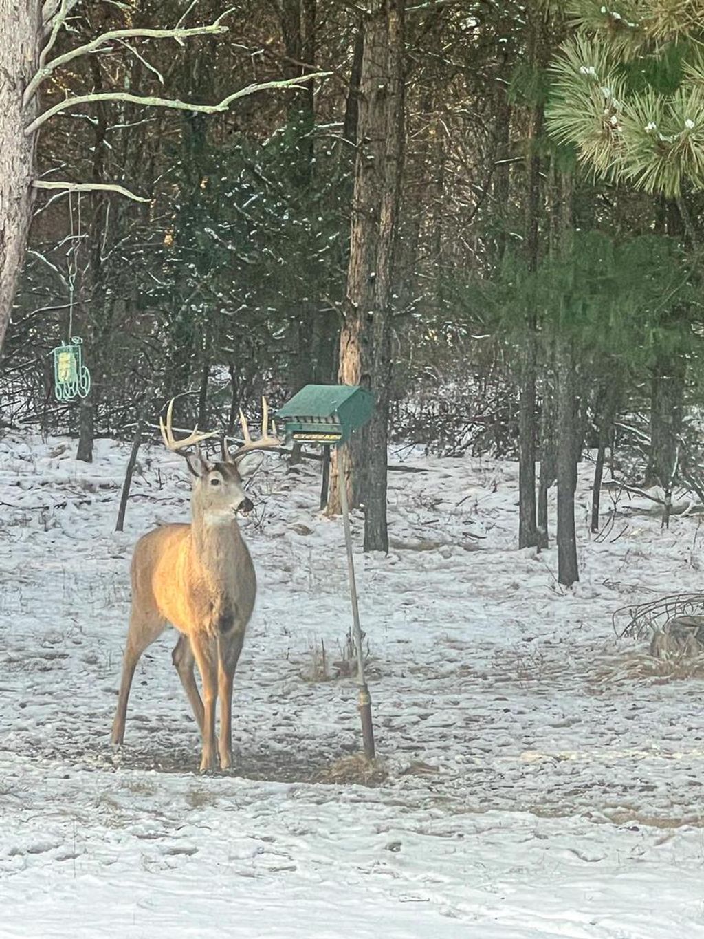 Photo of N14965 Pine LANE, Necedah, WI 54646 (MLS # 2010820)