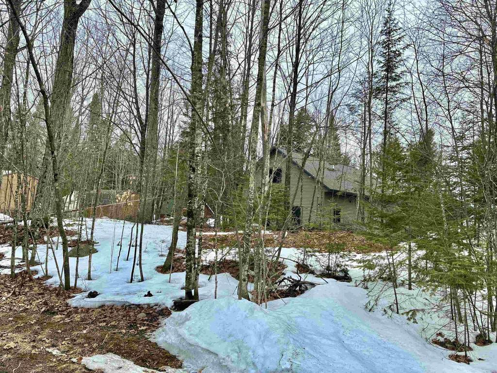 Photo of W6104 E Walleye LANE, Pearson, WI 54462 (MLS # 50322880)