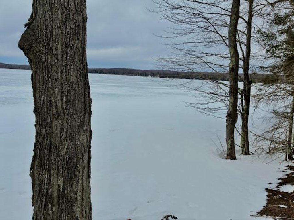 Photo of W6104 E Walleye LANE, Pearson, WI 54462 (MLS # 50322880)