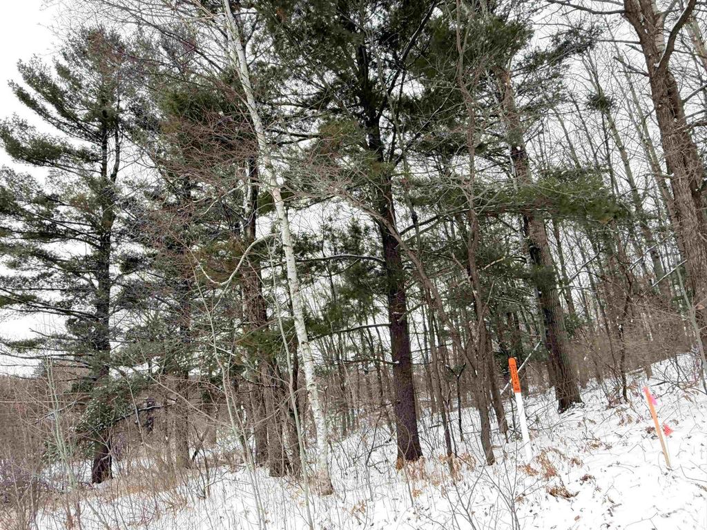 Photo of Lot 1 Highland DRIVE, Wausau, WI 54401 (MLS # 22600190)