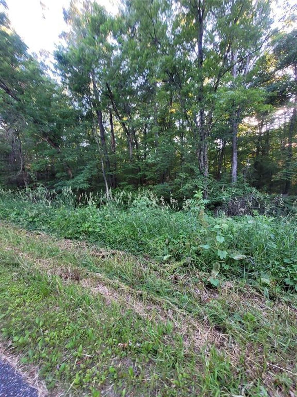 Photo of 000 US Highway 12 Lot 4, Merrillan, WI 54754 (MLS # 1603355)