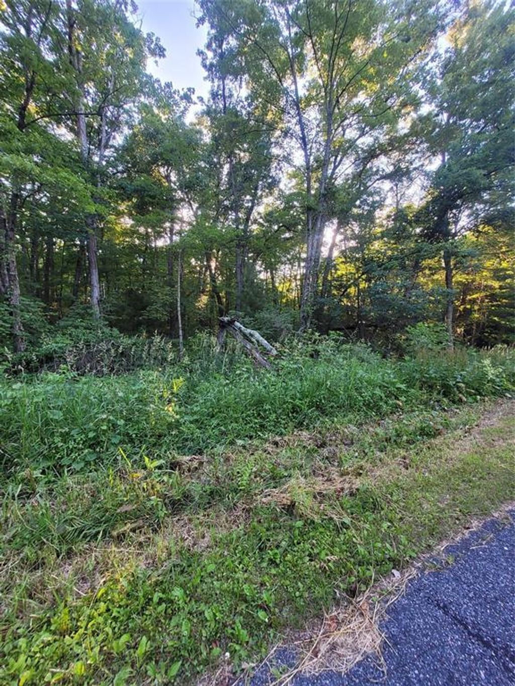 Photo of 000 US Highway 12 Lot 4, Merrillan, WI 54754 (MLS # 1603355)