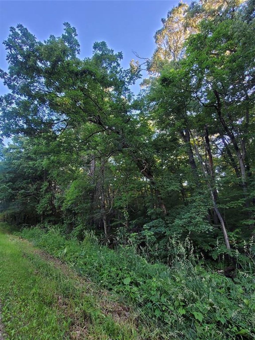 Photo of 000 US Highway 12 Lot 4, Merrillan, WI 54754 (MLS # 1603355)