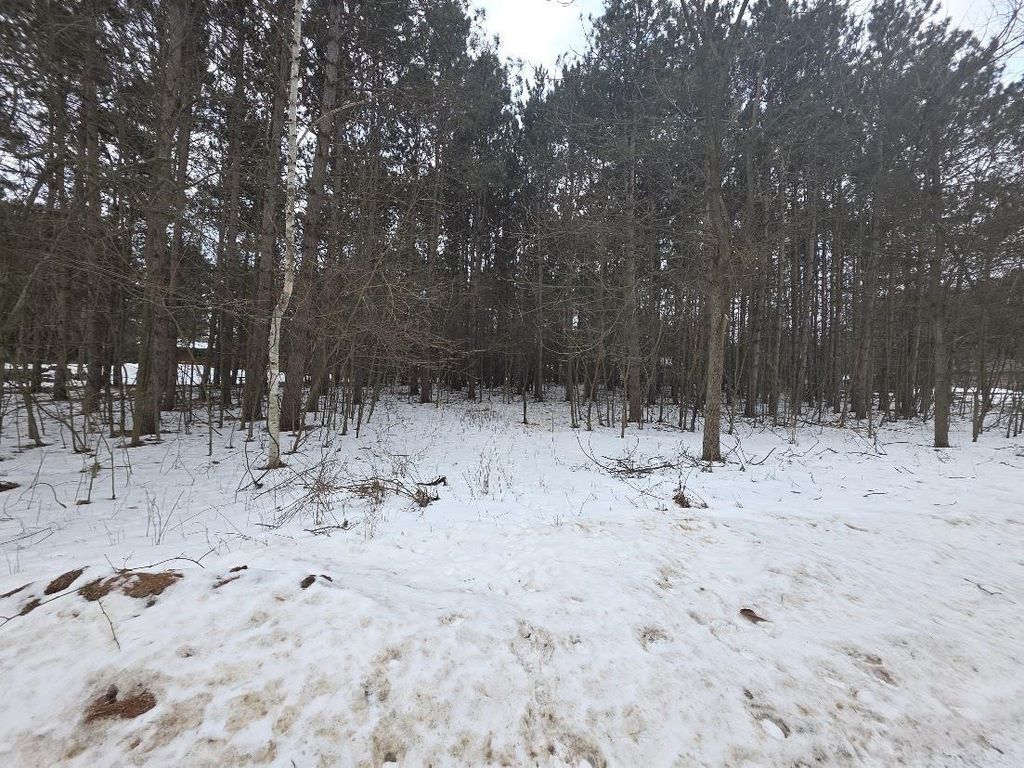 Photo of Alpine DRIVE, Wautoma, WI 54982 (MLS # 50321027)