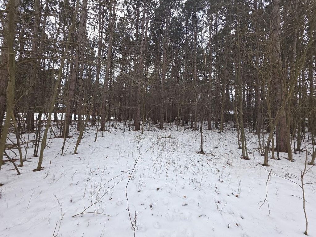 Photo of Alpine DRIVE, Wautoma, WI 54982 (MLS # 50321027)