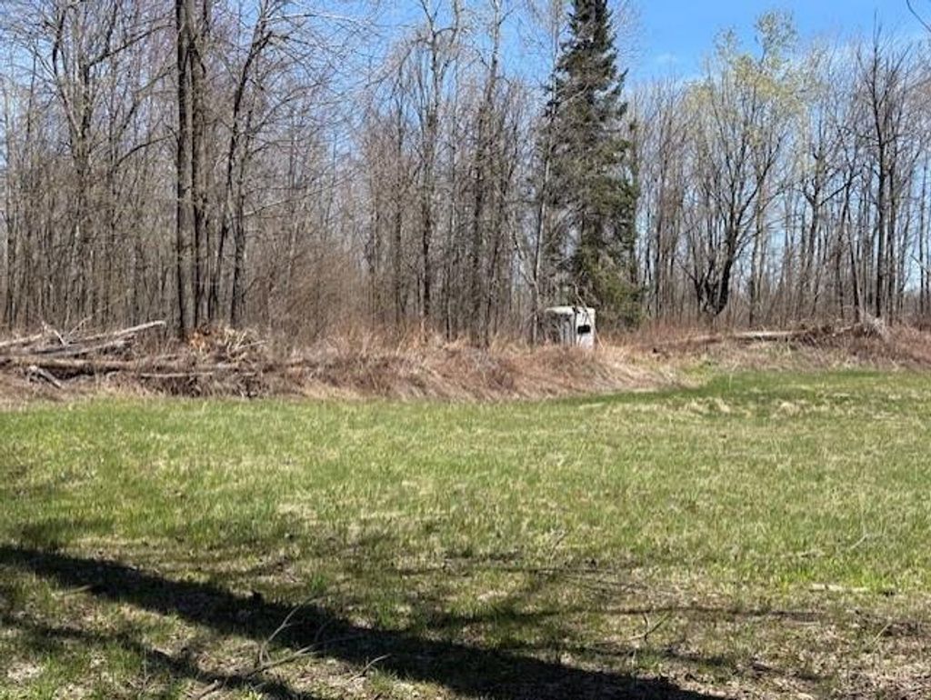 Photo of W9793 Dankes ROAD, Phillips, WI 54843 (MLS # 1600872)