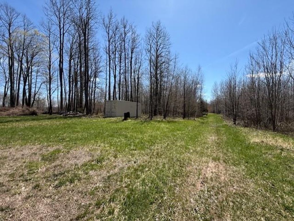 Photo of W9793 Dankes ROAD, Phillips, WI 54843 (MLS # 1600872)