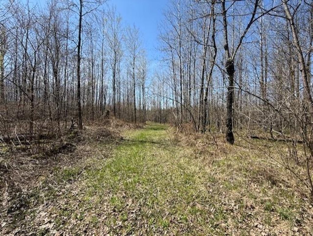Photo of W9793 Dankes ROAD, Phillips, WI 54843 (MLS # 1600872)
