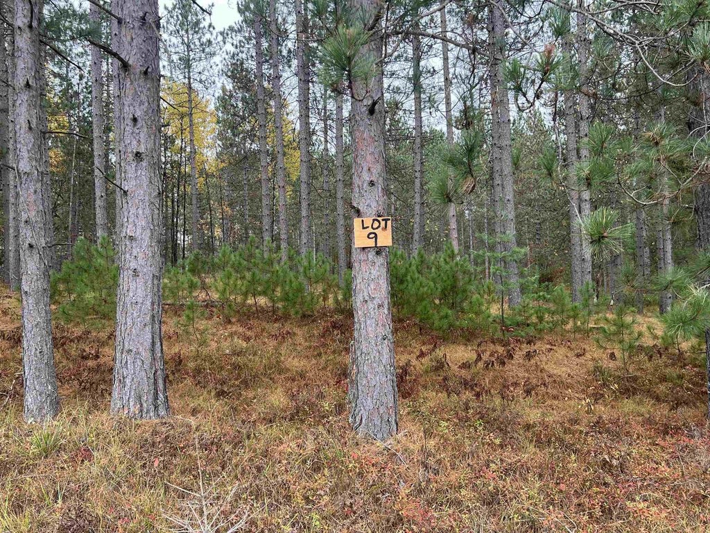 Photo of Trout Haven ROAD, Dunbar, WI 54119 (MLS # 50334560)