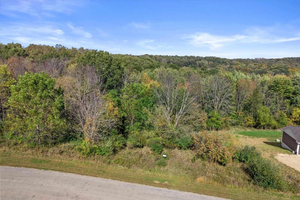 Photo of 1350 Matterhorn DRIVE, Woodland, WI 53941 (MLS # 2010324)