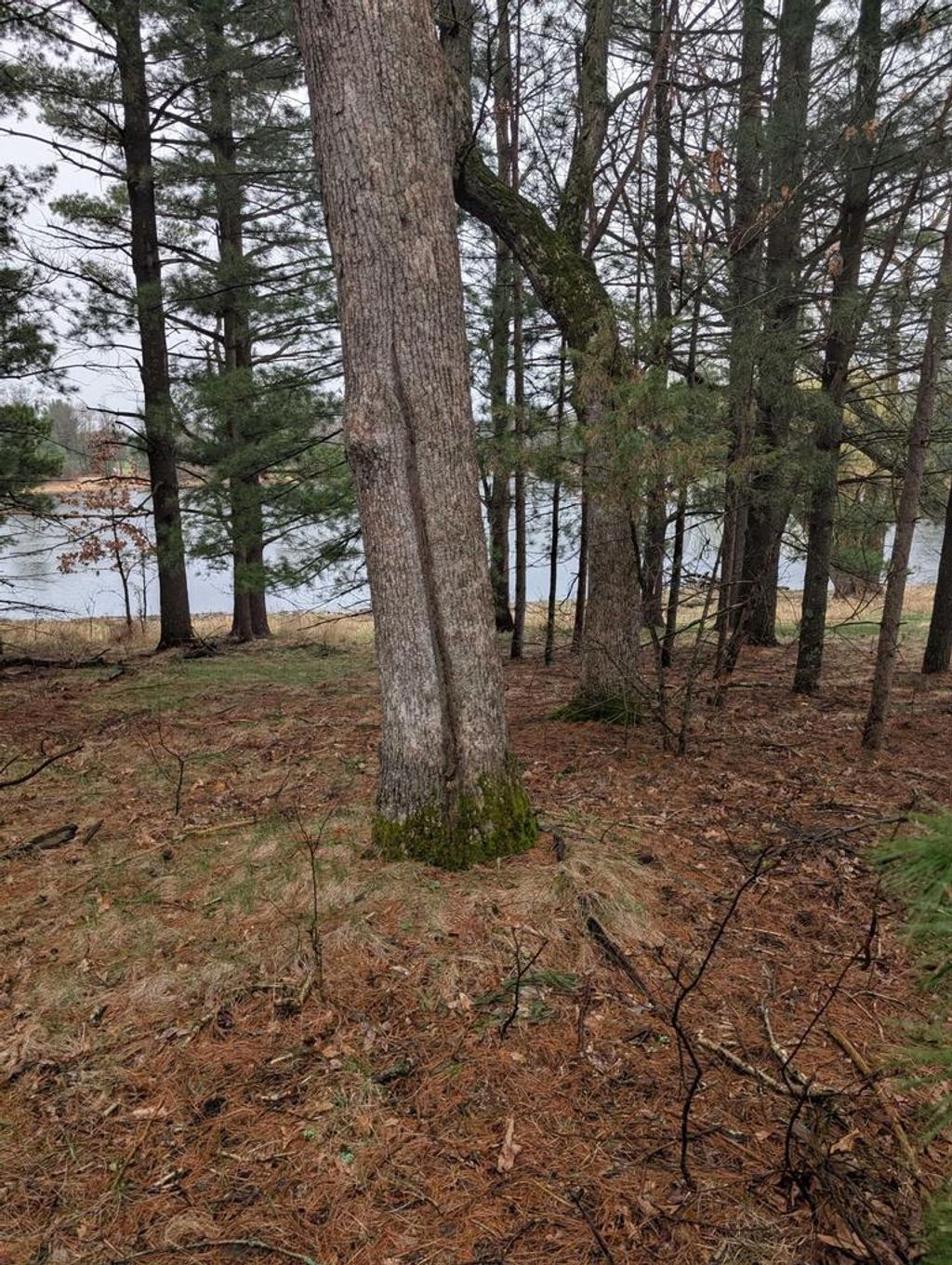 Photo of W7165 Indian Mounds CIRCLE, Wautoma, WI 54982 (MLS # 1942382)