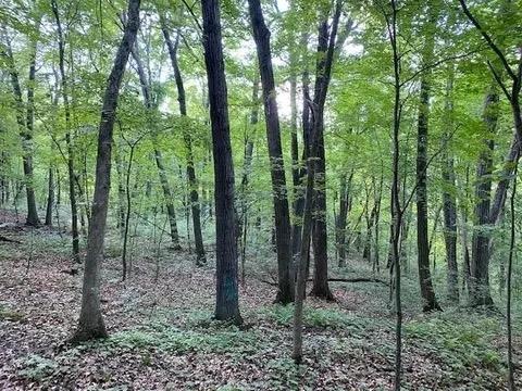 Photo of 12 Wooded Acres Observatory ROAD, Cross Plains, WI 53528 (MLS # 2031931)