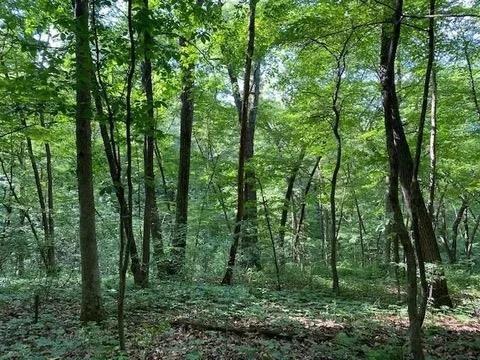 Photo of 12 Wooded Acres Observatory ROAD, Cross Plains, WI 53528 (MLS # 2031931)