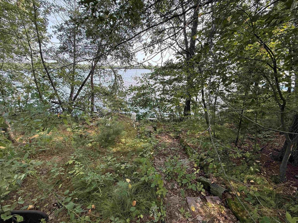 Photo of 202961 Dubay DRIVE, WI 54455 (MLS # 22604338)