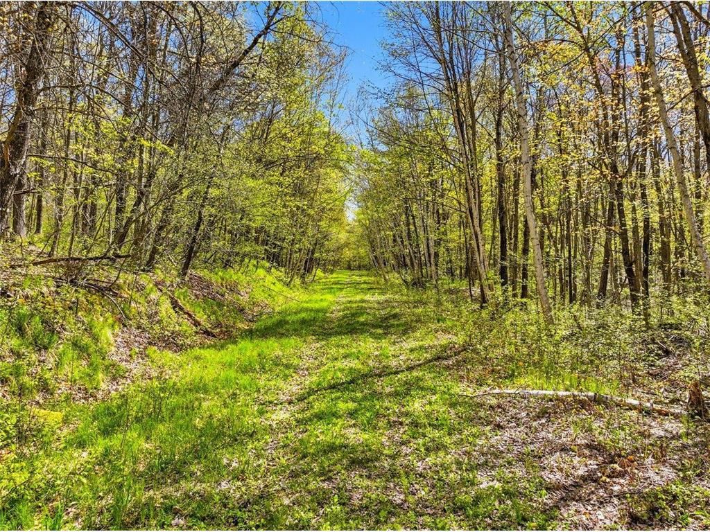 Photo of W6488 River Road, Trego, WI 54888 (MLS # 7075806)