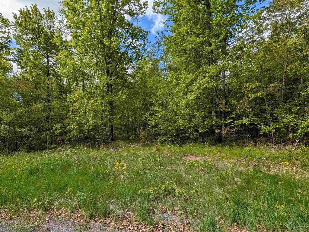 Photo of Lot 9 Acorn Ridge Estates Subdivision, Mosinee, WI 54455 (MLS # 22601163)