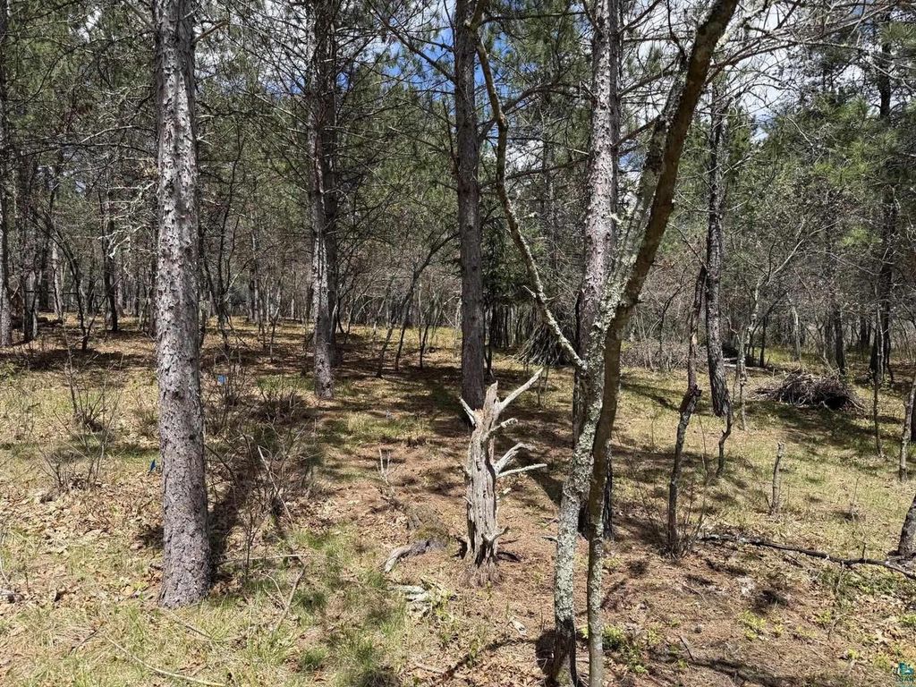 Photo of 9944 E Eagles Nest ROAD, Gordon, WI 54838 (MLS # 6125459)