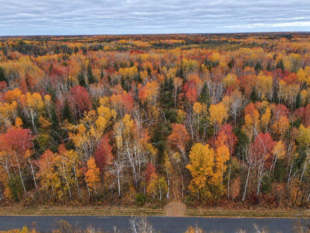 Photo of TBD Swedish Highway, Dairyland, WI 54830 (MLS # 1606010)