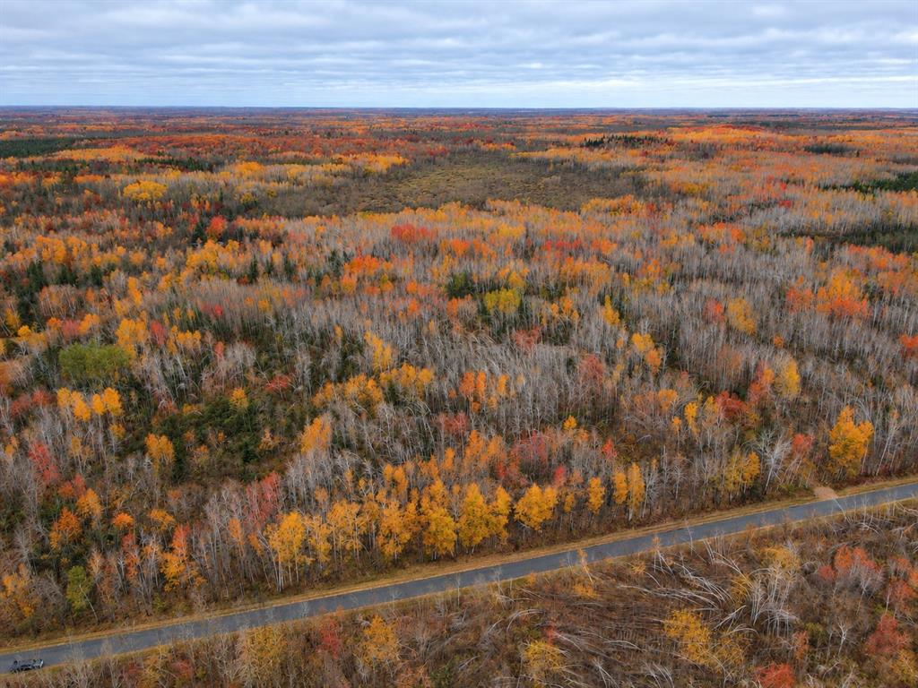 Photo of TBD Swedish Highway, Dairyland, WI 54830 (MLS # 1606010)