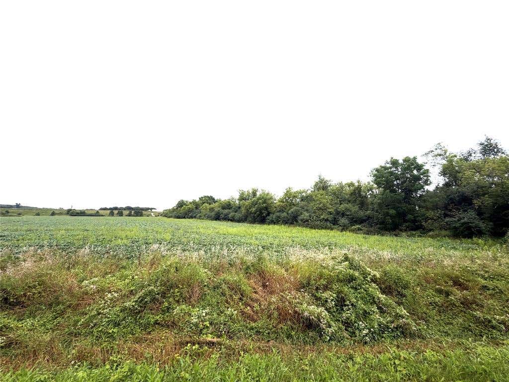 Photo of Lot 4 Van Tassel Rd, Osseo, WI 54758 (MLS # 1604189)
