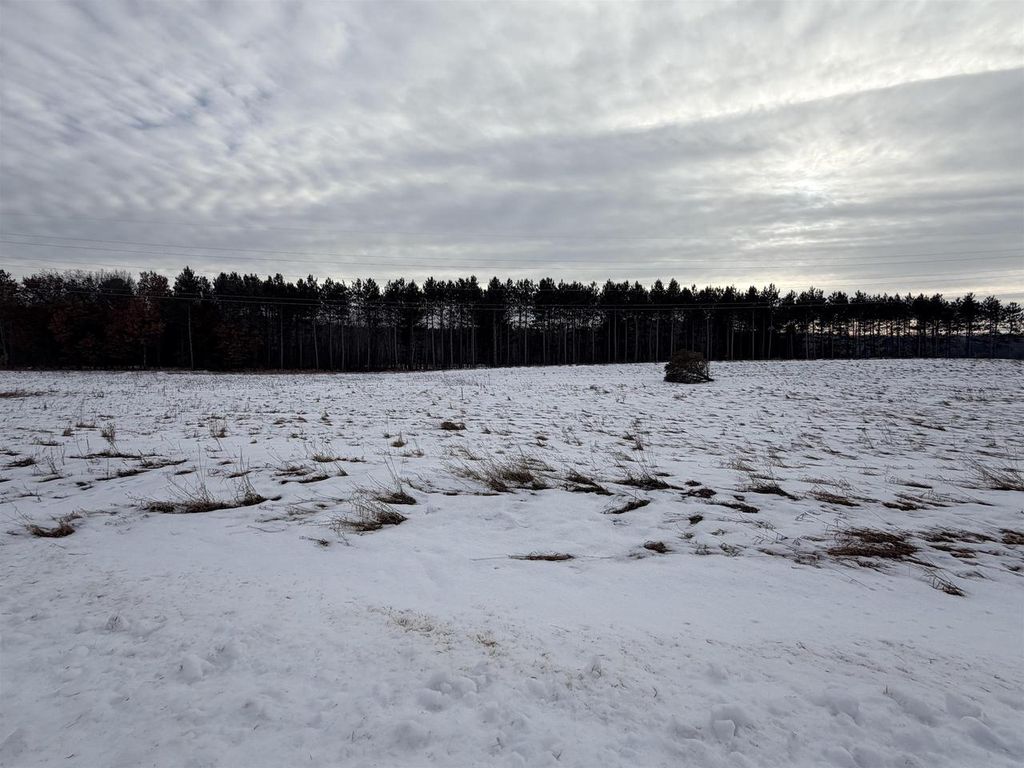 Photo of E1745 River Wood DRIVE, Waupaca, WI 54981 (MLS # 50319688)