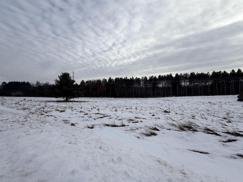 Photo of E1745 River Wood DRIVE, Waupaca, WI 54981 (MLS # 50319688)