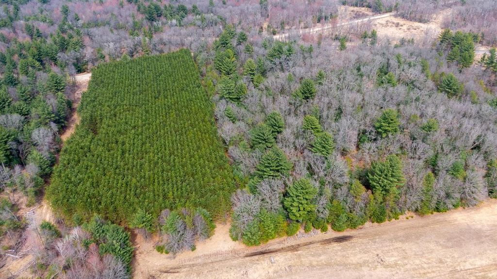 Photo of Lot 2 +/-43 Ac Dover DRIVE, Adams, WI 53910 (MLS # 2019687)