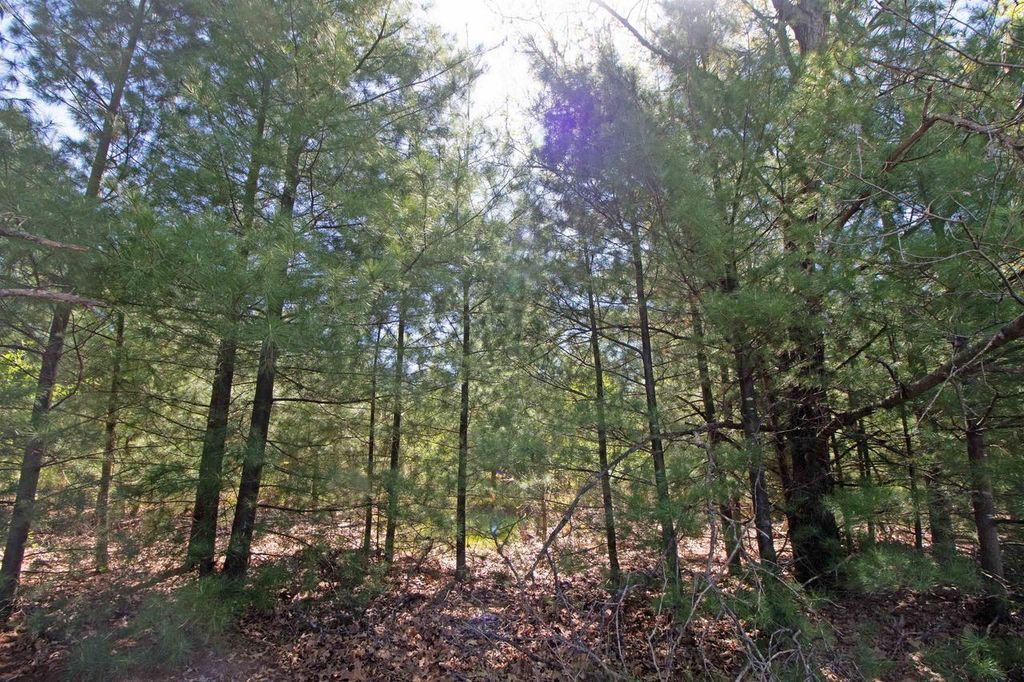 Photo of Lot20 Timber TRAIL, Spring Green, WI 53588 (MLS # 2023506)