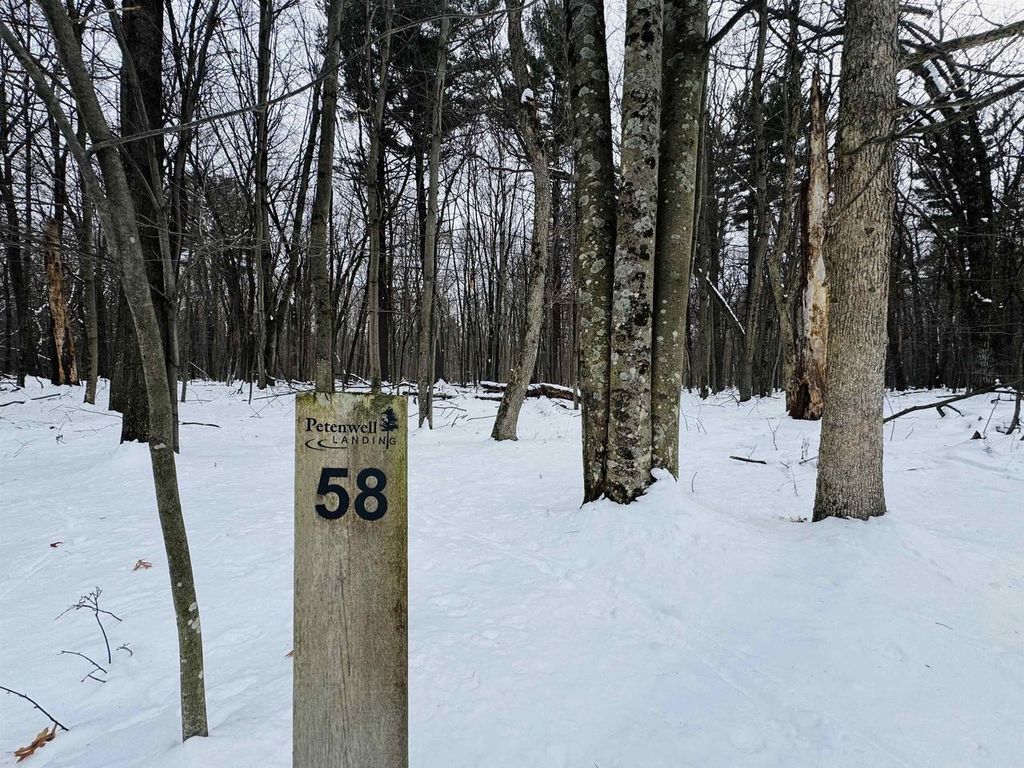 Photo of Lot 58 Badger COURT, Arkdale, WI 54613 (MLS # 2017670)