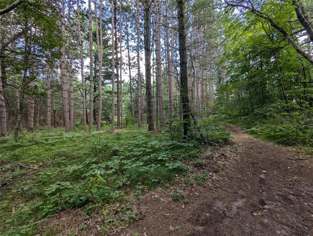 Photo of Lot 5 Fosmo, Webster, WI 54893 (MLS # 1599373)