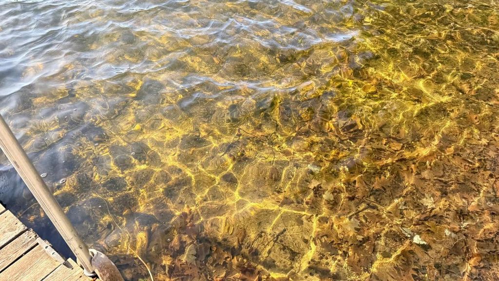 Photo of W1007 Seven Island Lake DRIVE, Gleason, WI 54435 (MLS # 22601647)