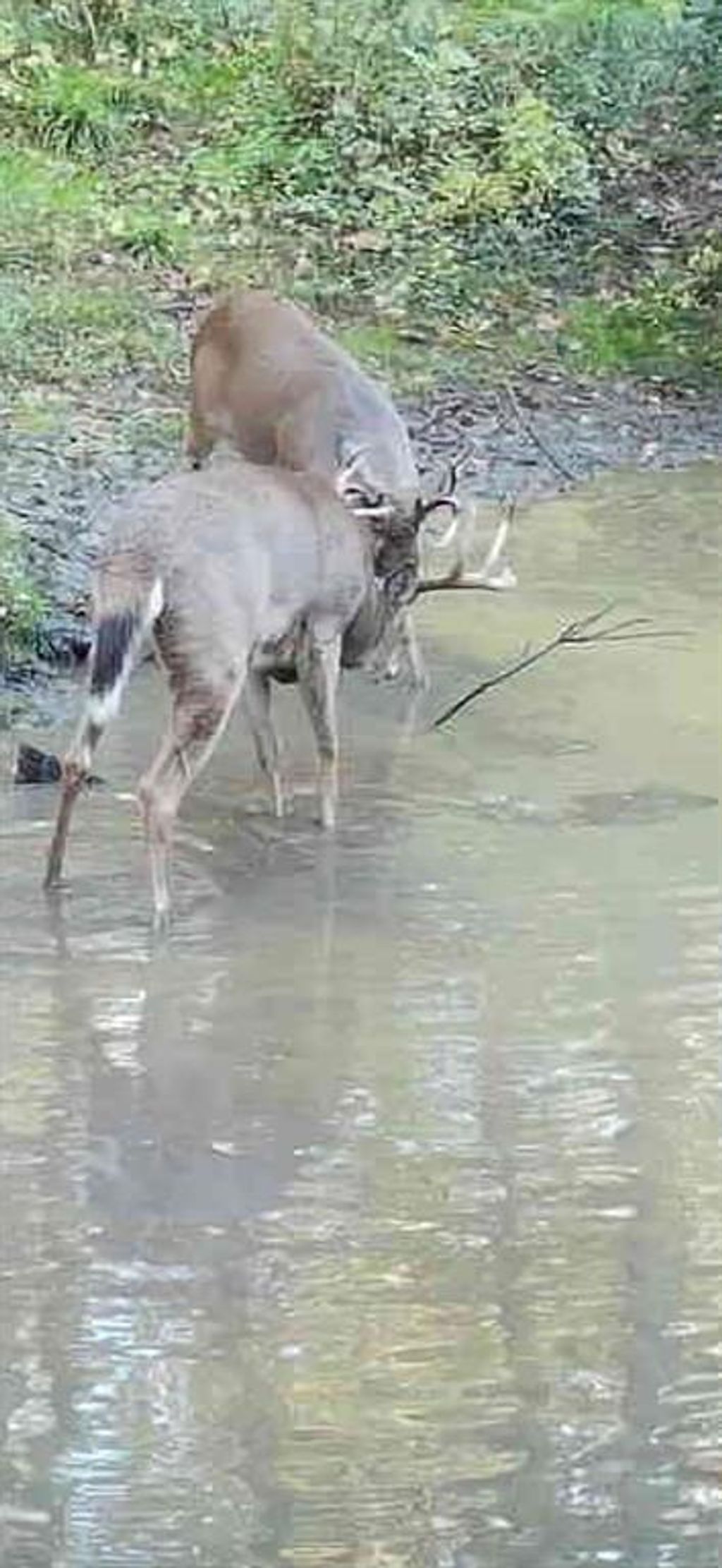 Photo of 890 S Independence Road, Independence, WI 54747 (MLS # 1598918)