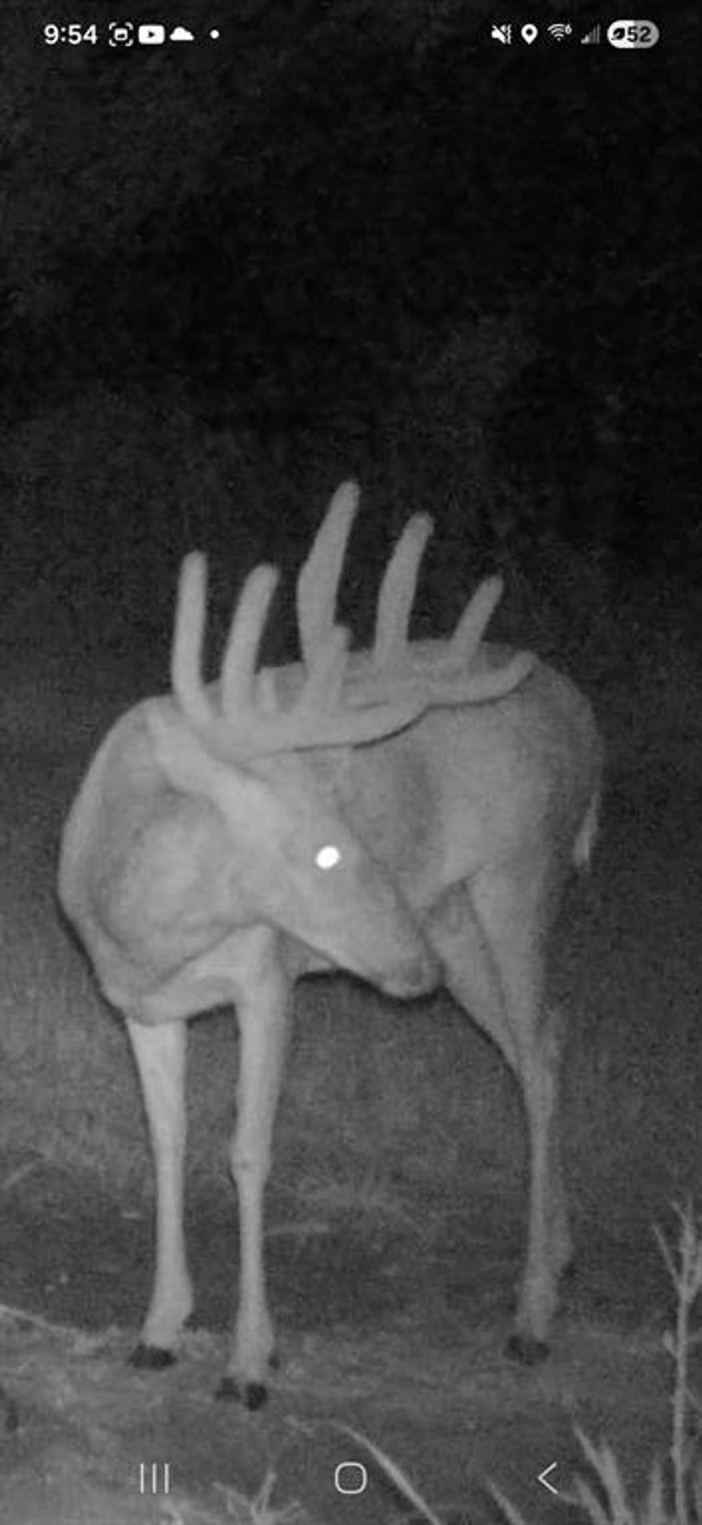 Photo of 890 S Independence Road, Independence, WI 54747 (MLS # 1598918)