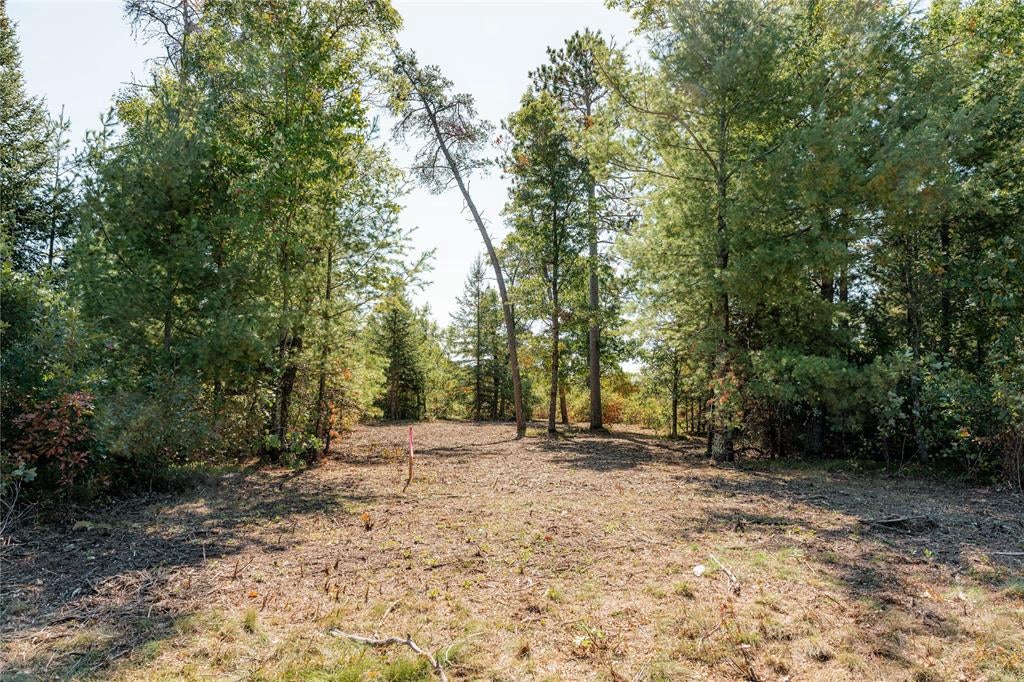 Photo of 0 County Road T, Minong, WI 54859 (MLS # 1605534)